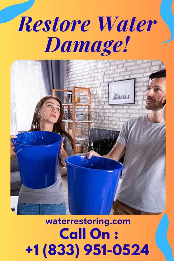 water restoration Stellar Flood Cleanup Services Berlin